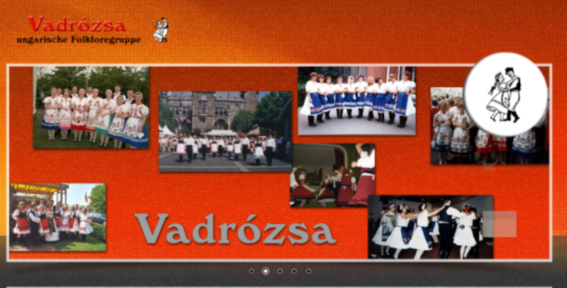 Vadrózsa 